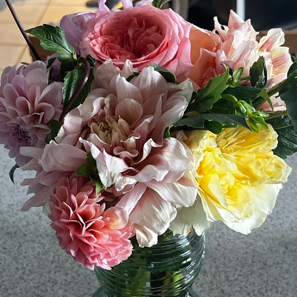 Meet your Posher, Tam - Picture 3 of 7